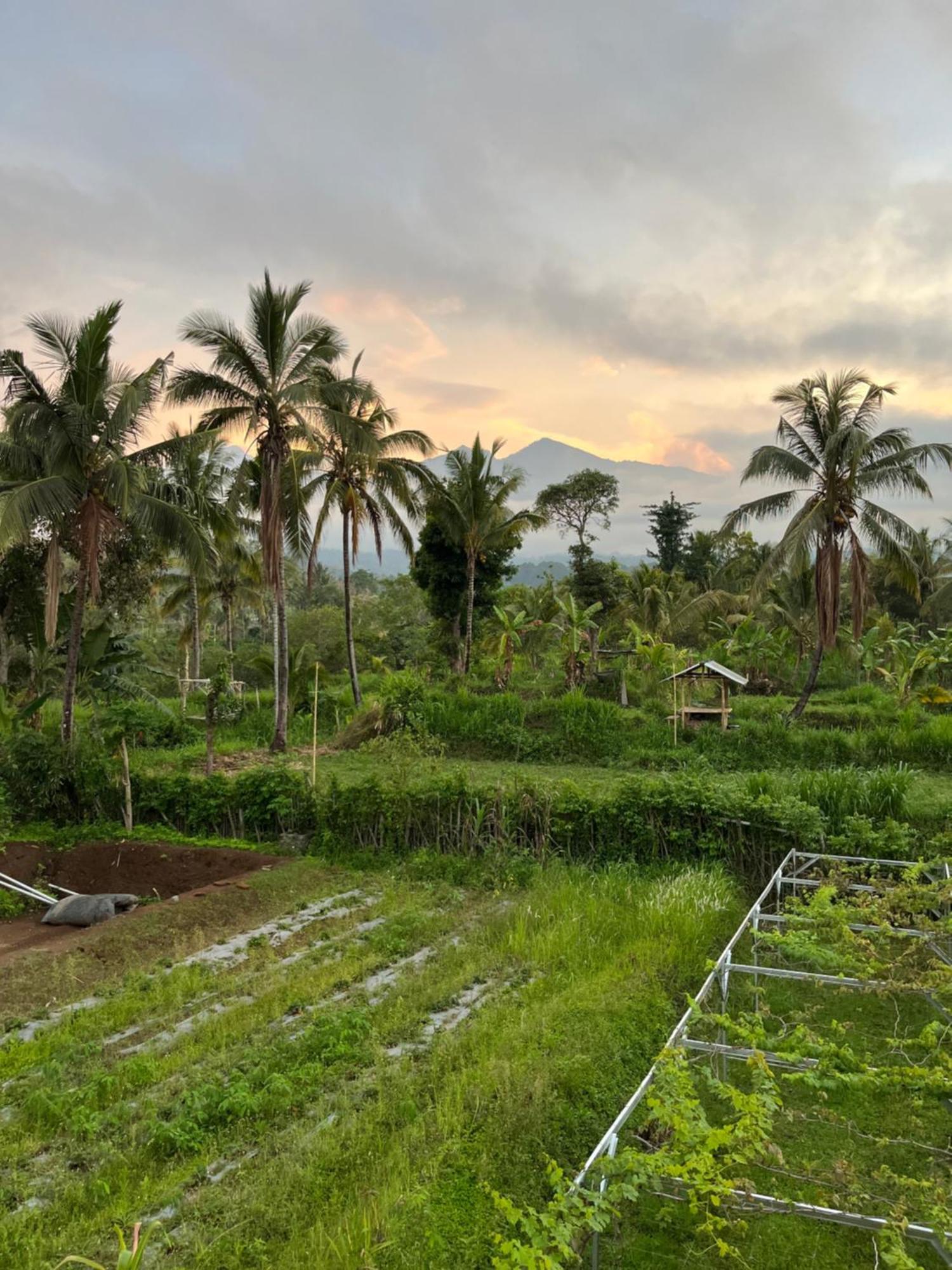 Rinjani Eco Villa Senaru Bayan Exterior foto