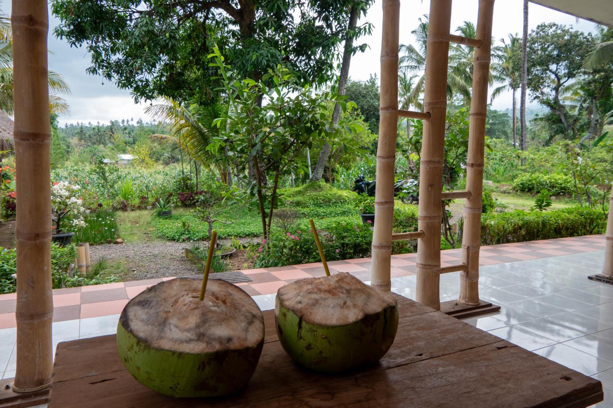 Rinjani Eco Villa Senaru Bayan Exterior foto